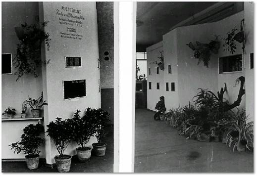 Bilder der Groitzscher Ausstellung 1956